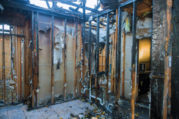 Professional Fire Damage Removal technician working in Clinton, UT